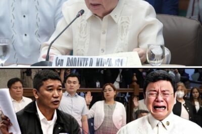 The Forgery Implosion: Manila Court Confirms Key Senate Witness Affidavit Was Faked, Triggering Criminal Referrals Against Senator Marcoleta’s Allied Faction