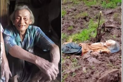 Huling Hininga sa Bukid: 86-Anyos na Lolo, Binawian ng Buhay Habang Nag-aararo, Kalabaw, Hindi Siya Iniwanan