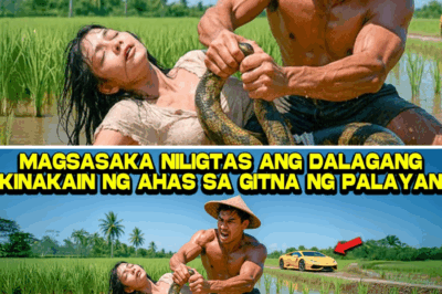 Puso ng Magsasaka, Tinalikuran ang Imperyo: Ang Kuwento ni Gino at Claris na Nagpabago sa Halaga ng Pag-ibig