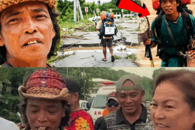 Ang Kontrobersyal na Hakbang: Ang Pagbagsak ng ‘The Philippine Looper’ Mula sa Inspirasyon Tungo sa Paghahanap ng VIP Status