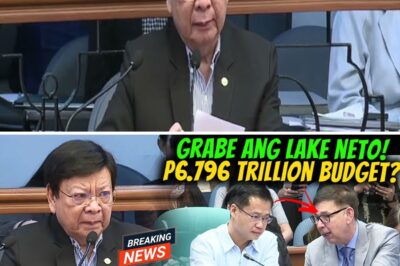 Billions Down the Drain? Senate Exposes 60 ‘Ghost Projects’ and Substandard Flood Control Structures in Massive Corruption Probe