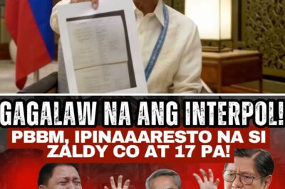 The End of the Line: Panic Erupts as President Marcos Officially Mobilizes Interpol and Ombudsman to Hunt Down Zaldy Co and 17 High-Ranking Officials in Historic Anti-Corruption Crackdown