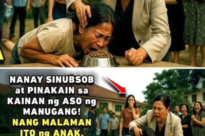 NANAY SINUBSOB AT PINAKAIN SA KAINAN NG ASO NG MANUGANG! LAKING GULAT LAHAT SA GINAWA NG ANAK NIYA!