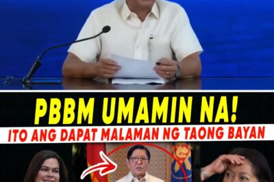 SHOCKWAVES AT THE PALACE: President Marcos Jr. Reportedly Makes Stunning Admission Amidst Intensifying Rift with VP Sara Duterte, Leaving the Administration in Total Disarray