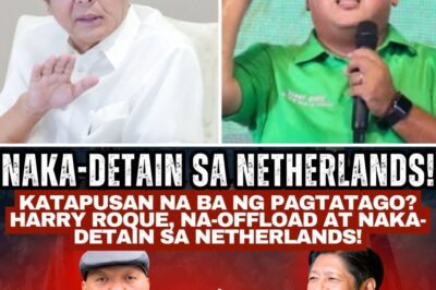 INTERNATIONAL MANHUNT INTENSIFIES: Harry Roque ‘Offloaded’ at Amsterdam Airport Amidst Conflicting Reports of Arrest, Passport Cancellation, and Claims of a Mysterious ‘Stalker’ on Board