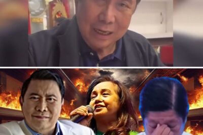 DIVINE INTERVENTION OR INTEL? Mon Tulfo Exposes the Chilling Details of a Thwarted ‘November 30’ Conspiracy That Almost Changed the Fate of the Presidency Forever