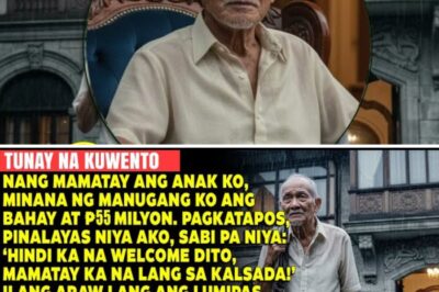 Nang Mamatay ang Anak Ko, Inagaw ng Manugang Ko ang ₱55M at Pinalayas Ako!