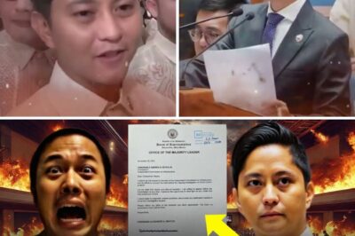 Biblical Prophecy Unfolds in Real Time: Sandro’s Shocking Act of Bravery Exposes the Fear of the Powerful as Zaldy Co’s Silence Deafeans the Public—Is This the Ultimate Proof That Truth Can No Longer Be Silenced?