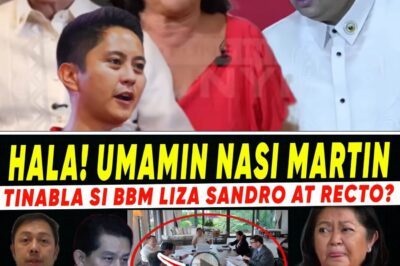 PALACE IN PERIL: Speaker Romualdez Allegedly Breaks Ranks as Internal War Erupts, Unmasking the Power Struggle Between the First Couple, Sandro, and Recto in a Shocking Display of Political Betrayal