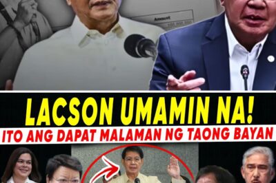 SENATE SHOCKER: Total Chaos Erupts as Vice President Sara Duterte Secures Massive Vindication While Senator Hontiveros Allegedly Concedes with a Smile—Is the Mainstream Media Narrative Finally Crumbling from Within?