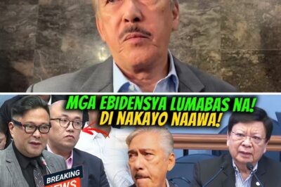 THE UNTOLD STORY OF THE HAGUE MISSION: SENATOR EXPOSES SHOCKING SECRET BEHIND CONTROVERSIAL OFFICIAL’S SUDDEN RISE TO POWER