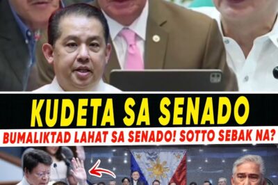 The November 14 Shake-Up: New Alliance Tipped to Seize Senate Control, Signaling End of Sotto-Lacson Era