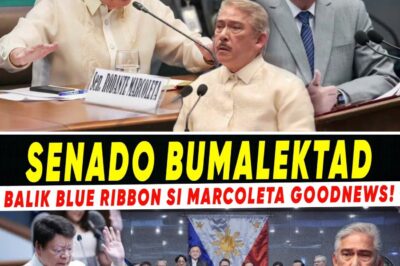 The Blue Ribbon Ambush: Senators’ Motion to Reinstate Marcoleta Leaves Sotto-Lacson Bloc “Speechless” and “Humiliated”