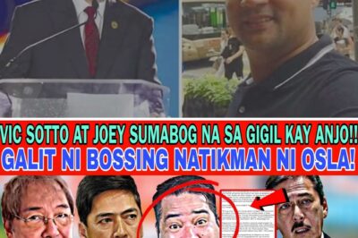 The Scorn of the Pillars: Vic Sotto and Joey de Leon Denounce Anjo Yllana as a ‘Traitor’ After His Explosive ‘Box Reveal’ Blackmail Threat