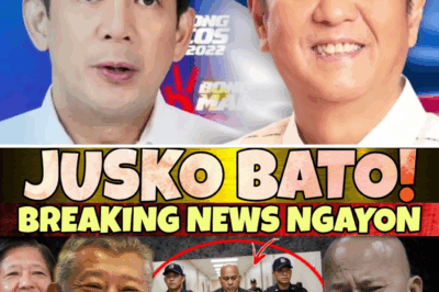 Political Retaliation? Ombudsman’s Claim of ICC Warrant for Senator Bato dela Rosa Ignites Fury Over Alleged 2028 Election Disqualification Plot