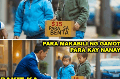 Ang Pangalawang Pagkakataon: Paano Nakahanap ang Isang Mayamang CEO ng Bagong Pamilya at Pagmamahal Mula sa Isang Kambal na Nagbebenta ng Laruan sa Parke