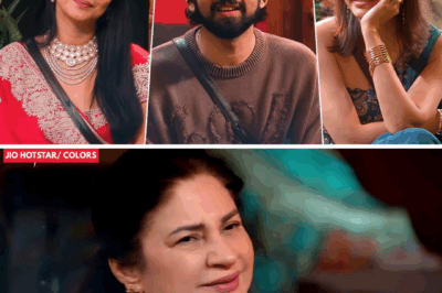 Bigg Boss 19 Drama: Tanya and Matlti’s Romantic Moments with Amaal Spark Reactions