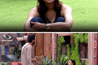 Bigg Boss 19 Drama: Malti Opens Up About Being Amaal Malik’s Ex