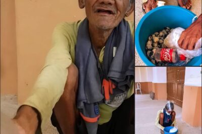 Ang Panginginig ng Matandang Nagtitinda: Ang Nakikiusap na Boses ni Lolo Tony Pano na Hilong-Hilo sa Gutom at ang Aral ng Pagmamahal sa Pamilya