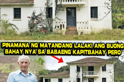 GINTO SA ILALIM NG KAMA! Sakim na Pamangkin, Pinagtabuyan ang Single Mother; Gumuho ang Mundo Nang Ang Babaeng Minata, Bumili sa Kaniya ng Bahay!