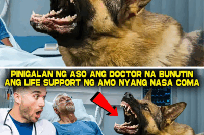 HIWAGA NG PAGMAMAHAL! ‘Man’s Best Friend,’ Hinarangan ang Doktor at Kagamitan; Sa Halip na Mamatay, Muling Tumibok ang Puso ng Kaniyang Amo!