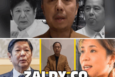 “A Scripted Lie”: Analyst Dismantles Zaldy Co’s ₱100 Billion “Bombshell” Against Marcos