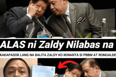 “I Hope They Don’t Kill Me”: Zaldy Co’s Bombshell Testimony Links PBBM, Romualdez, and a “Brown Leather Bag” to P100 Billion Scheme