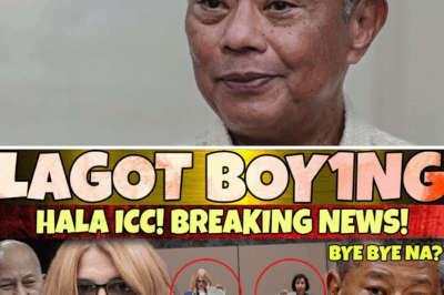 Ombudsman Overreach: Martires’s ICC Warrant Claims Spark Legal Firestorm