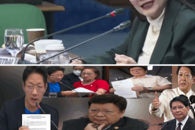 A Combination of All Those Factors: 150 Dead, 50 Billion Spent, and the Hunt for a Ledger