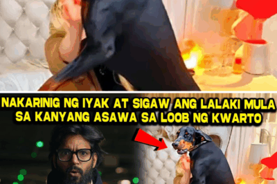Ang Doberman na ‘Nagsumbong’: Paano Naging Maling Akala ang Buntis, Droga, at Kawalan ng Tiwala—Isang Kwentong Nagwasak sa Relasyon