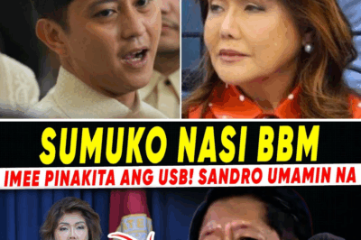 Ang Hamon ng Kapatid: DNA at Hair Follicle Test—Pangulong BBM Jr. Hinamon ni Senador Imee, Nagbukas ng Spekulasyon sa Droga, Pagkatao, at Pagbagsak ng Gobyerno