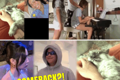 Ang Lihim na Mensahe ng Pusa: Bakit Naniniwala ang Kathniel Nation na Hindi Pa Tuluyang Nakaka-Move On ang Kathryn at Danie