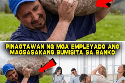 Ang Matalinong Paghihiganti: Kung Paanong ang Henyong Anak ng Magsasaka, Na Inhamak sa Bangko, ay Bumili sa Kumpanya at Naging Bagong Boss