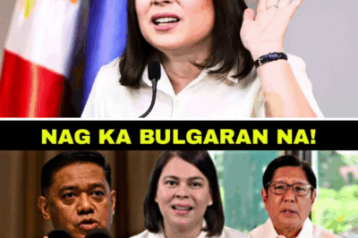 Tangkang Kudeta: Ang Foreign Funding at Milyon-Milyong Budget ng DDS Rally na Naglantad sa Failed Destabilization Plot Laban kay PBBM