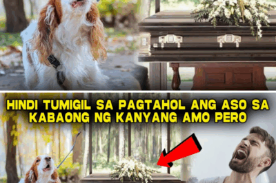 Ang Smartwatch na Susi sa Lihim: Paano Iniligtas ni Lias si Brandon Mula sa Kasakiman ng Madrastang Nagpanggap na Biyuda