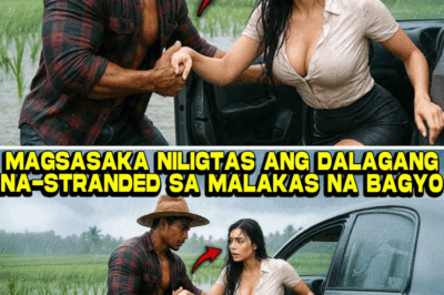 Milyonarya sa Kubo: Paano Natagpuan ni Camille Villarica ang Kalayaan at Pag-ibig sa Piling ng Magsasakang si Elias