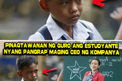 Ang Salamin at Calculator: Paano Binalikan ng CEO na Anak ng Magsasaka ang Guro na Nagpahiya sa Kanya