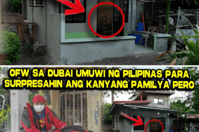 Ang Sinira-Sorpresa: Paano Natuklasan ng OFW na si Manuel ang Pang-aabuso ng Asawa at Lihim na Iniligtas ang Kanyang mga Anak