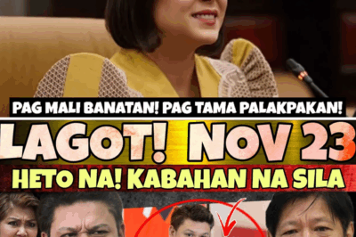 Ang P1-B Budget Insertion at Ang Political Divide: Bakit Tumanggi ang Akbayan na I-Impeach si BBM?