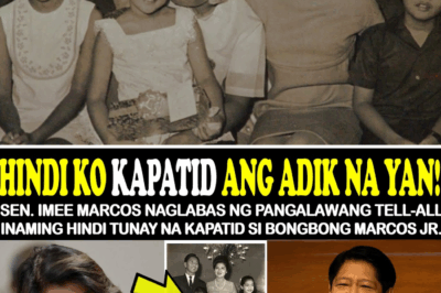 NAG-ALAB NA ALITAN: IMAG Marcos, Ibinunyag na HINDI SILA MAGKAPATID ni BBM; AKUSASYON NG DRUG USE KINA PANGULO AT UNANG GINANG, NAGPABULABOG SA MALACAÑANG