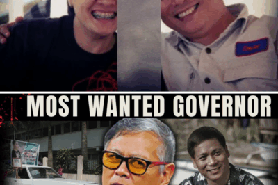 HUSTISYA PARA KAY DOC GERRY ORTEGA: ANG MADUGONG PAG-ATAKE NG KORAPSYON SA BAYANI NG PALAWAN; ANG EPIC LEGAL BATTLE LABAN SA DYNASTY AT ANG RED NOTICE NG INTERPOL