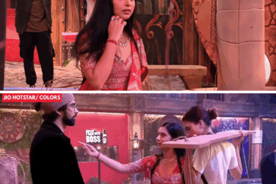 Bigg Boss 19: Tanya Mittal Gets Slapped Amid Ticket to Finale Chaos