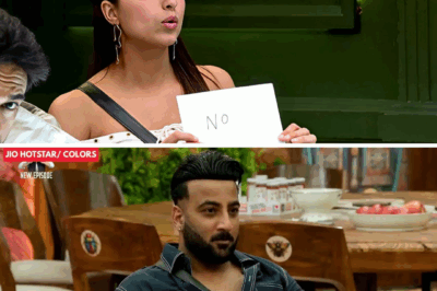 Bigg Boss 19 Finale Ticket Drama: Who Said YES or NO to Shehbaz and Malti?