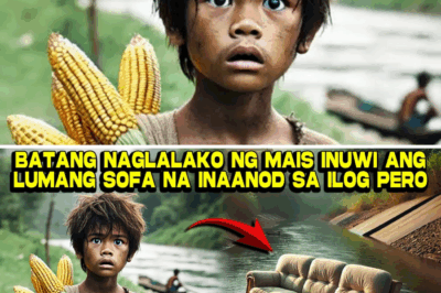 Ang Biyaya na Naging Sumpa: Ang Paglalakbay ni Nilo Mula sa Kahirapan Tungo sa Pagliligtas ng Kaluluwa, at Ang Matinding Aral ng Malasakit sa Likod ng Porselanang Manika