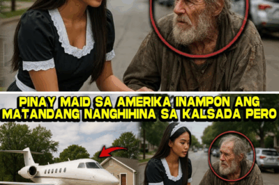 Mula sa Hampaslupa Patungong Multi-Bilyonaryong Tagapagmana: Ang Pinay Maid na Nagligtas sa Nagtatagong CEO at Nagpatunay na Ang Kabutihan Ay Ang Tunay na Kayamanan