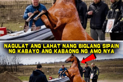 Ang Himala sa Kabaong: Paanong Ang Sipa ng Isang Kabayong Iniligtas, Si Kala, ang Nagbalik-Buhay sa Namayapang Magsasaka