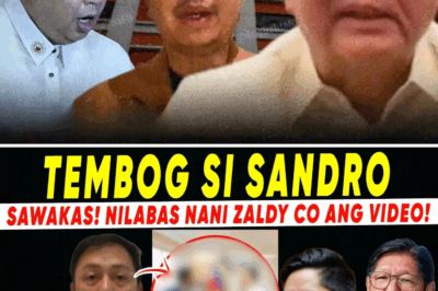 Sistematikong Korapsyon: $56 Bilyong Kickbacks at $250 Bilyong Insertions, Ibinulgar ni Zaldy Co Kina PBBM, Romualdez, at Sandro Marcos