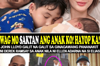 Seryosong Akusasyon ng Pananakit kay Elias: Hiwalayan nina Ellen Adarna at Derek Ramsay, Kinumpirma ni Cristy Fermin