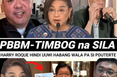 Seryosong Crackdown sa Katiwalian: PBBM, Nagbabala sa Flood Control Anomaly; Harry Roque, Nagdeklara ng Asylum at Tanim Kaso