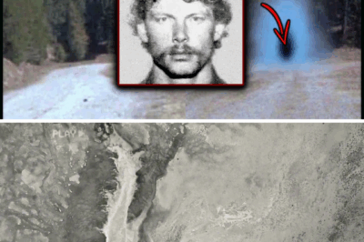 The Mysterious Case of David McKay: Missing for Two Years, Returns Thinking It’s Just One Night